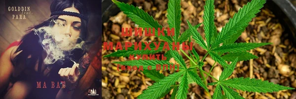 мдма Белокуриха