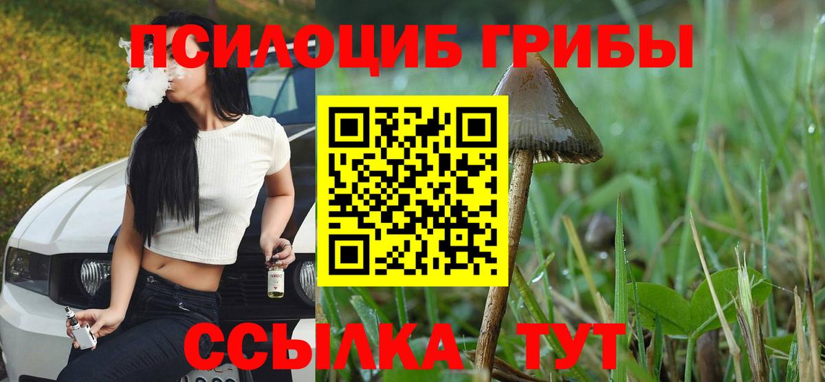 магазин    Вход с VPN  Горно-Алтайск  Псилоцибиновые грибы прущие грибы 