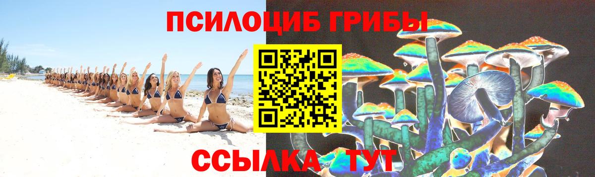 наркотики  Горно-Алтайск  Псилоцибиновые грибы мицелий 