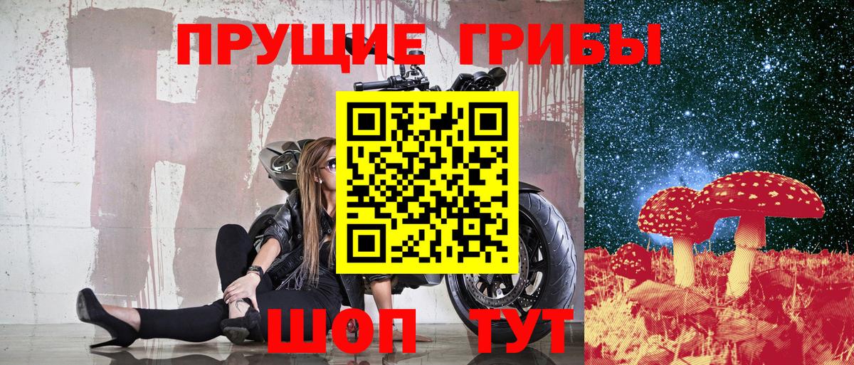 Псилоцибиновые грибы мицелий Горно-Алтайск